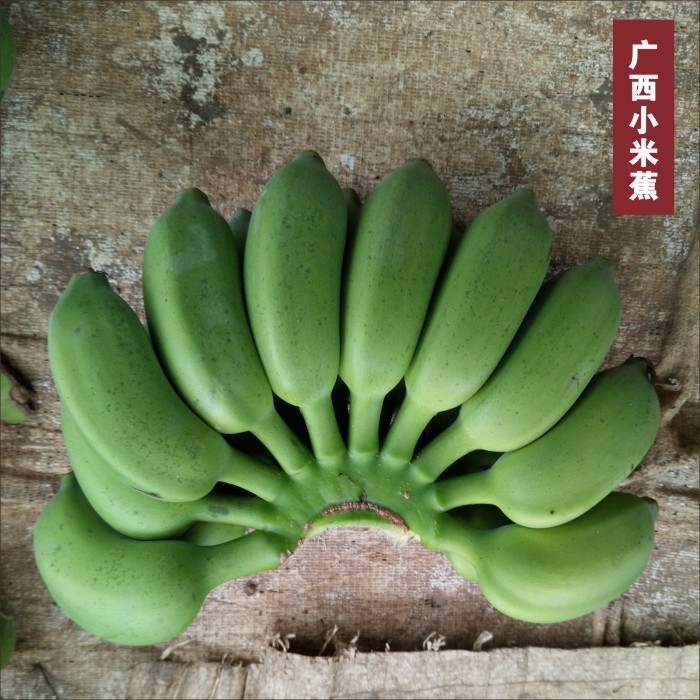 【早上砍下午发】香蕉广西小米蕉新鲜香蕉当季水果发青果多规格