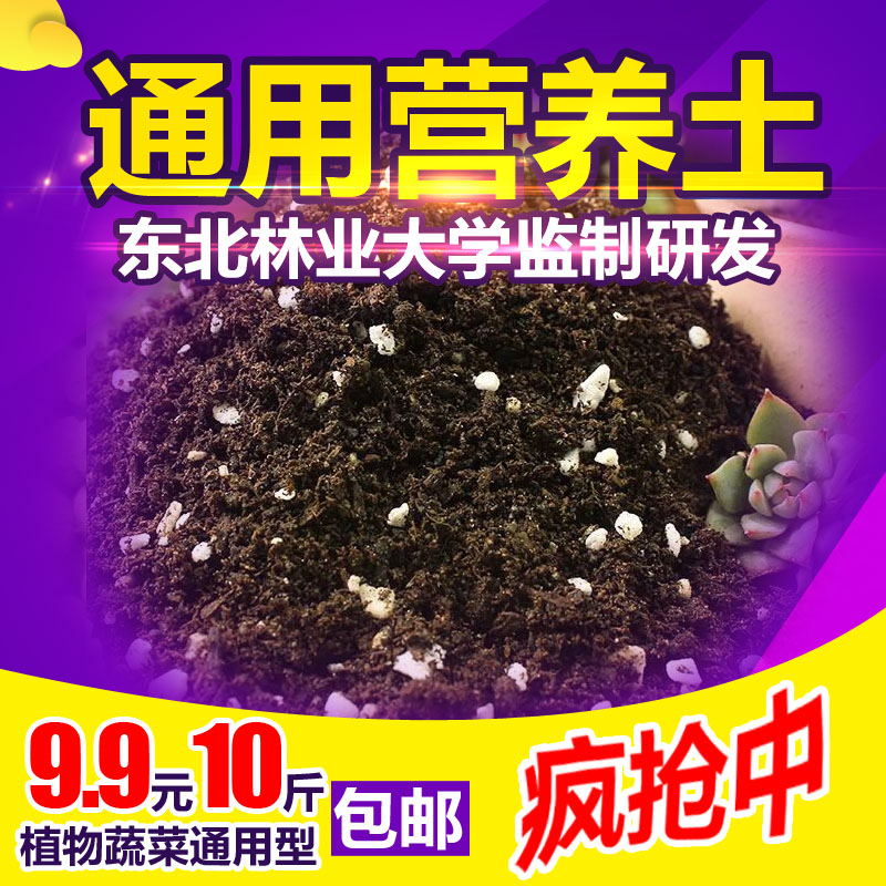 8d6056b82c75d4ae899f01da83411389.jpeg