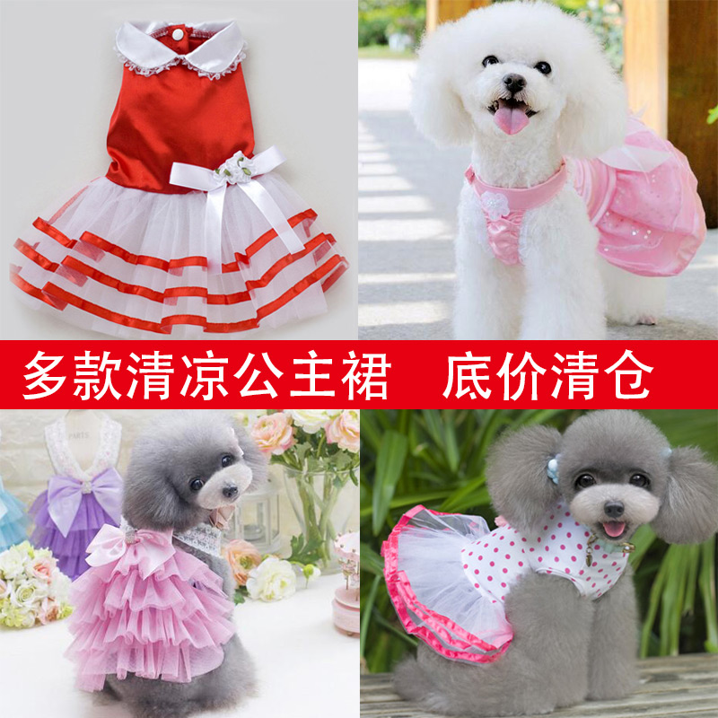 夏季薄款宠物裙子 小型犬泰迪比熊狗狗裙子公主裙小型犬宠物衣服